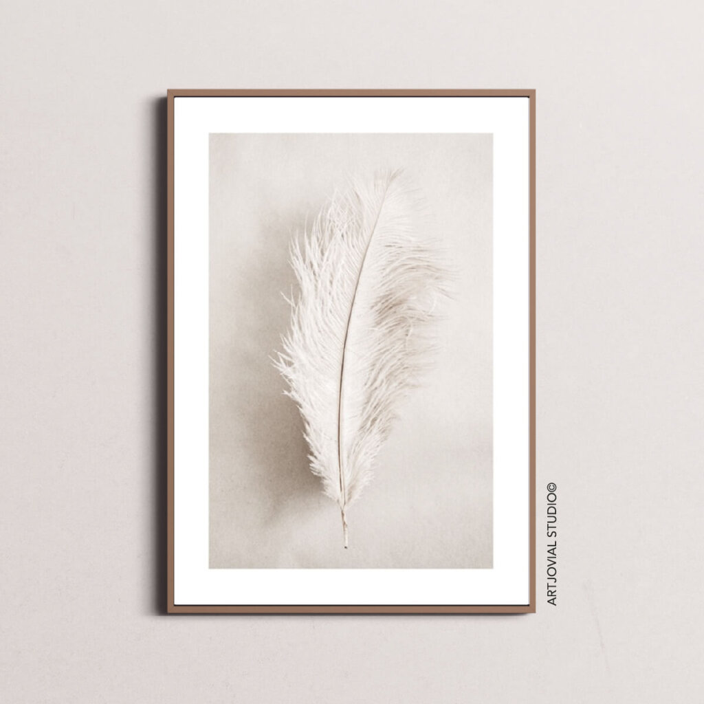 Plume Bohème
